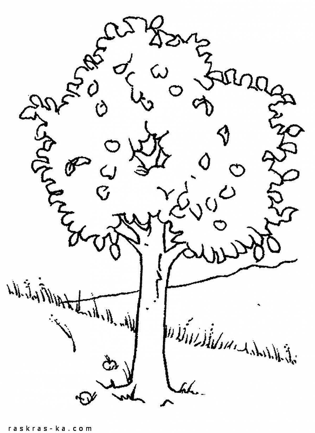 Coloring for a country tree for children 5-6 years old