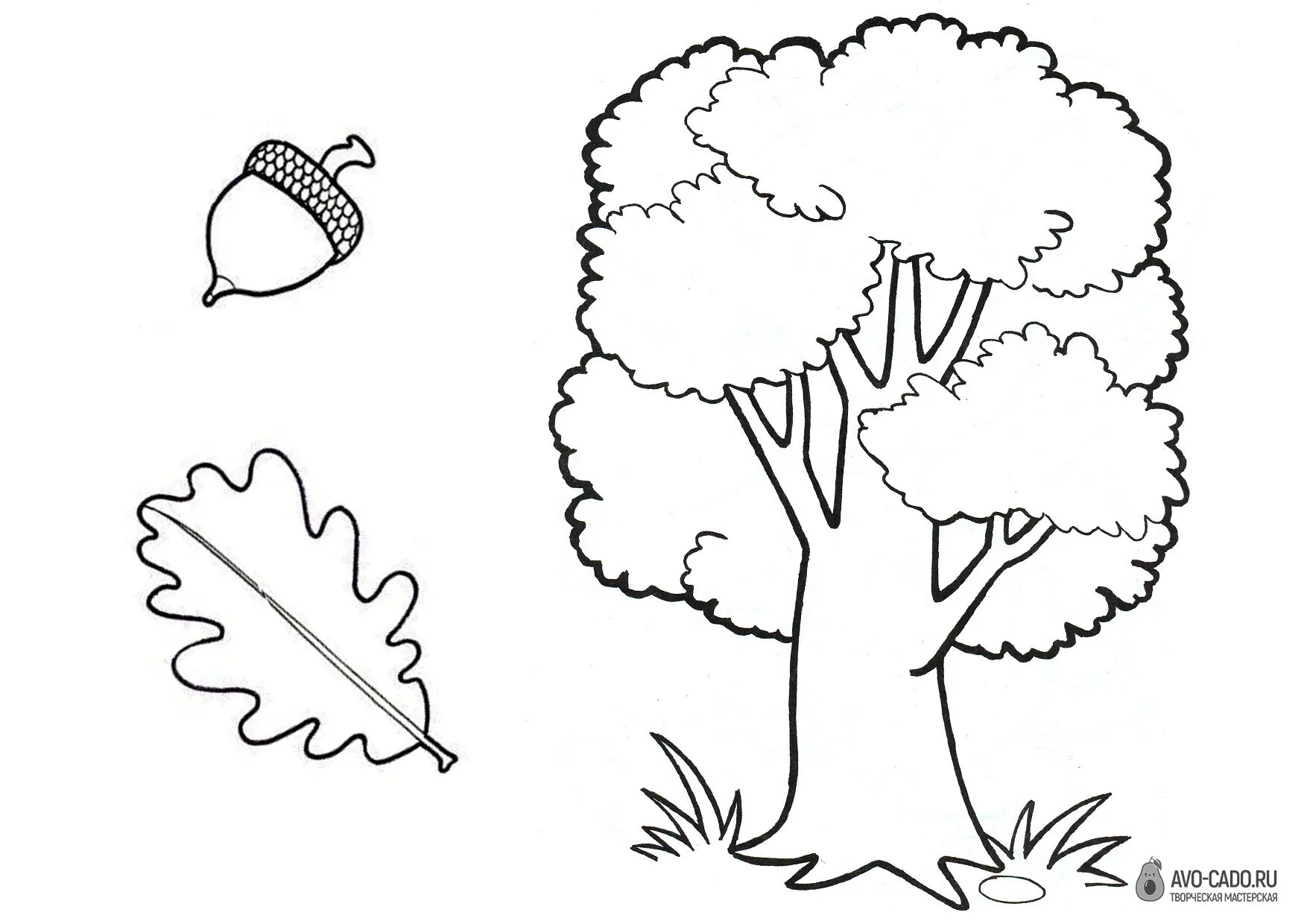 Glamorous tree coloring book for children 5-6 years old