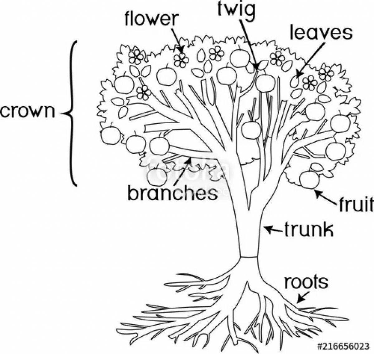 Fun plant parts for 1st grade kids