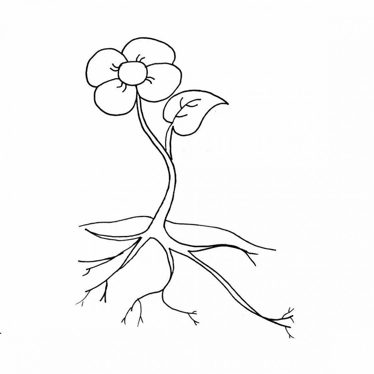 Parts of plants for children grade 1 #19
