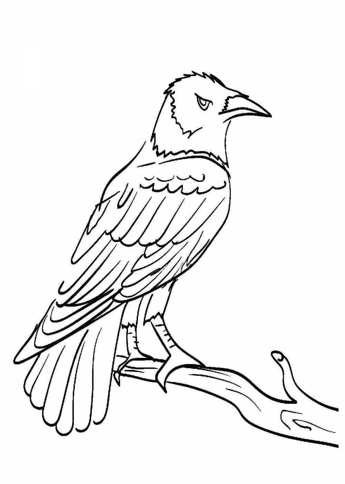 Funny crow coloring book for 3-4 year olds