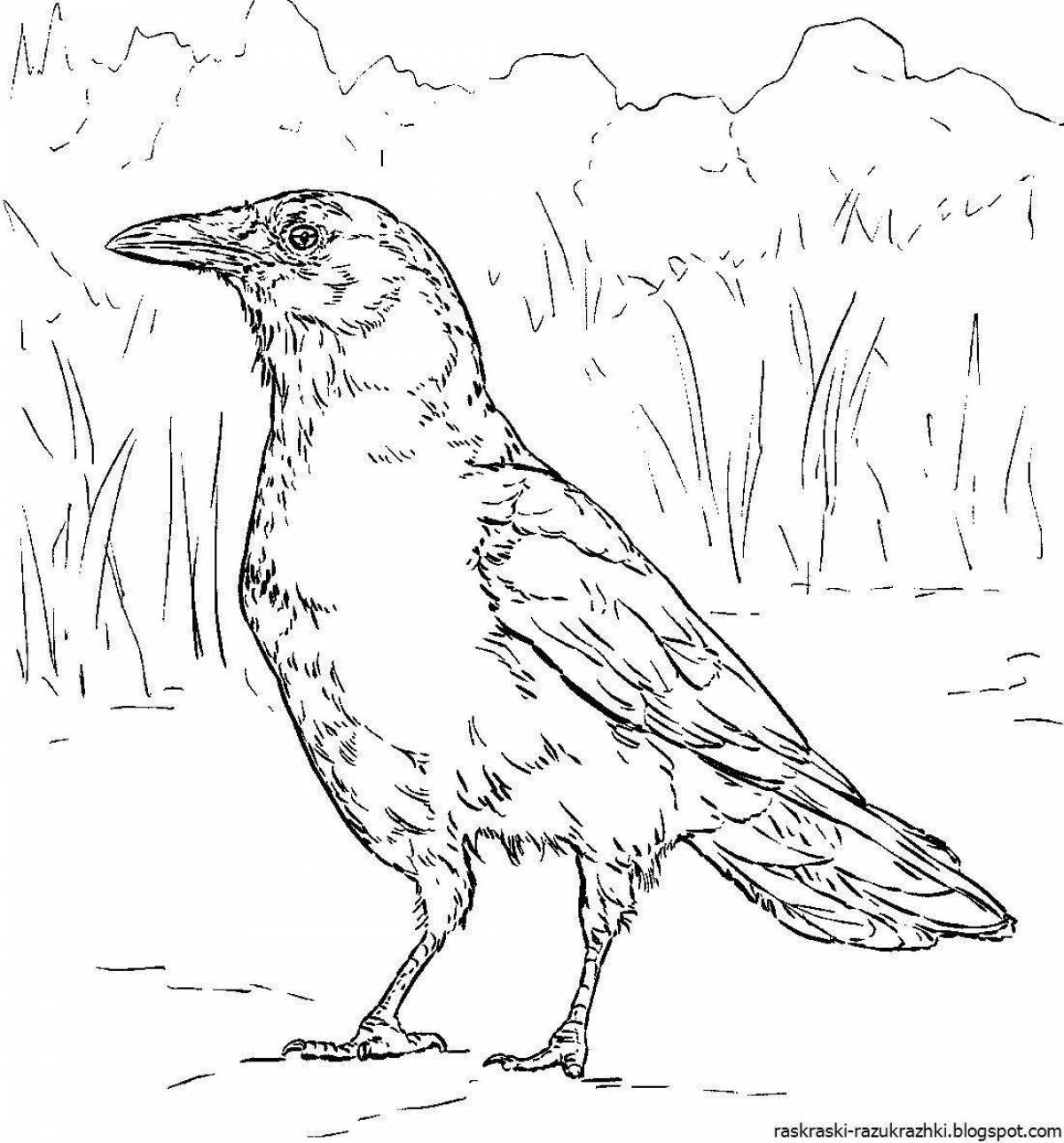 Adorable crow coloring book for 3-4 year olds