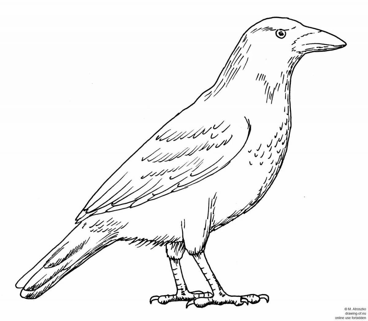 Intriguing crow coloring book for 3-4 year olds