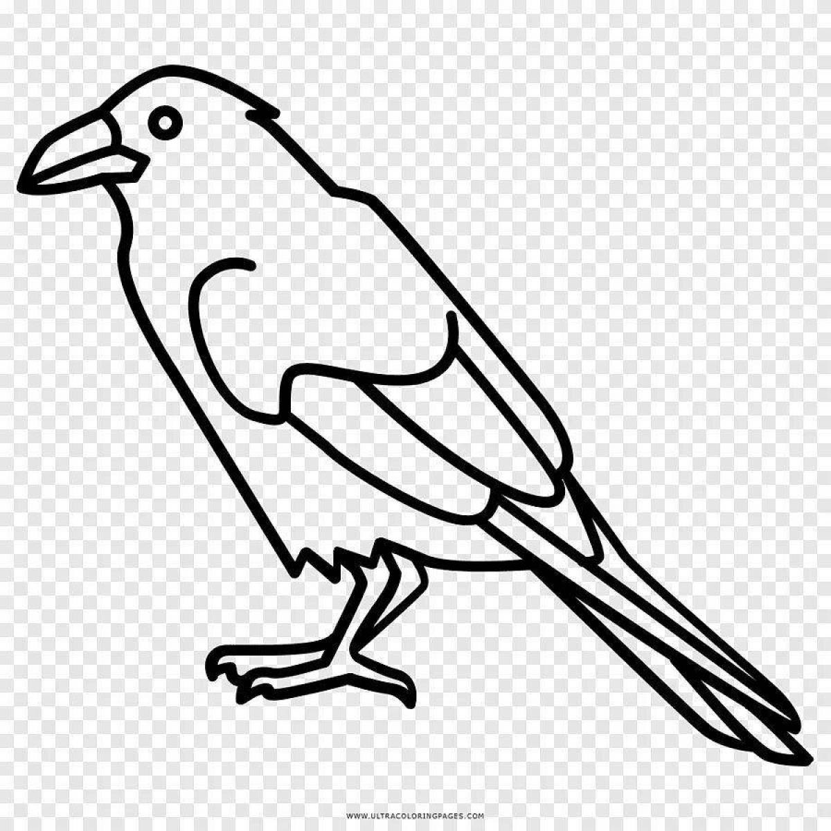 An interesting crow coloring page for 3-4 year olds