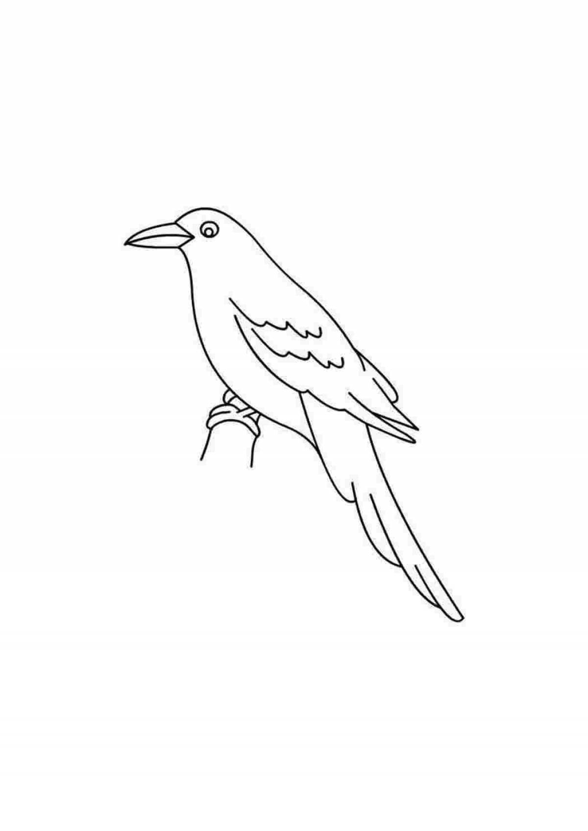 Креативная раскраска ворона для детей 3-4 лет