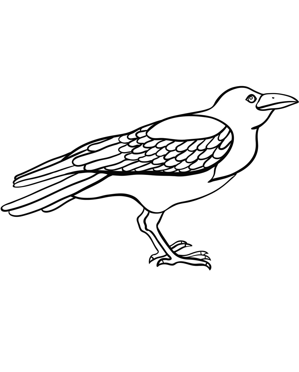 Incredible crow coloring book for 3-4 year olds