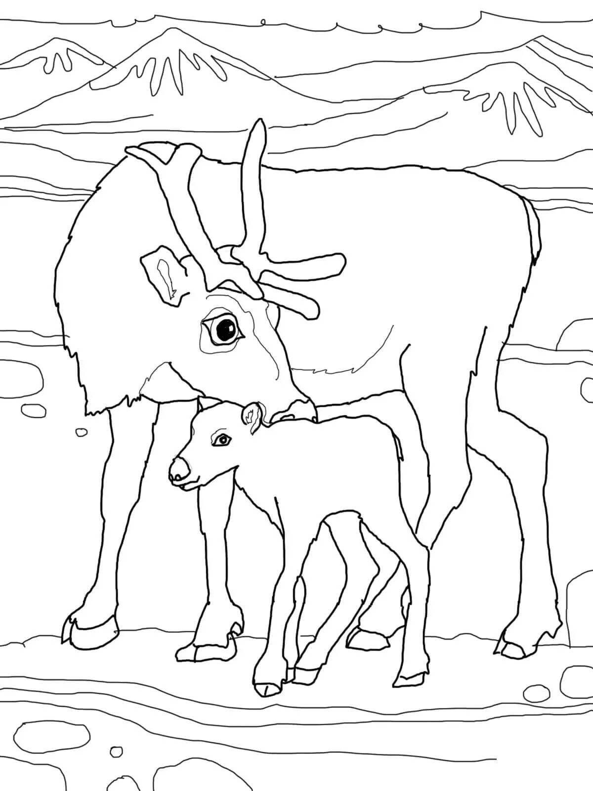 Colorful northern animals coloring pages for kindergarten