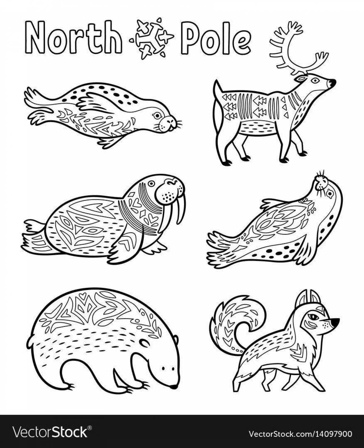Daring northern animals coloring pages for kindergarten