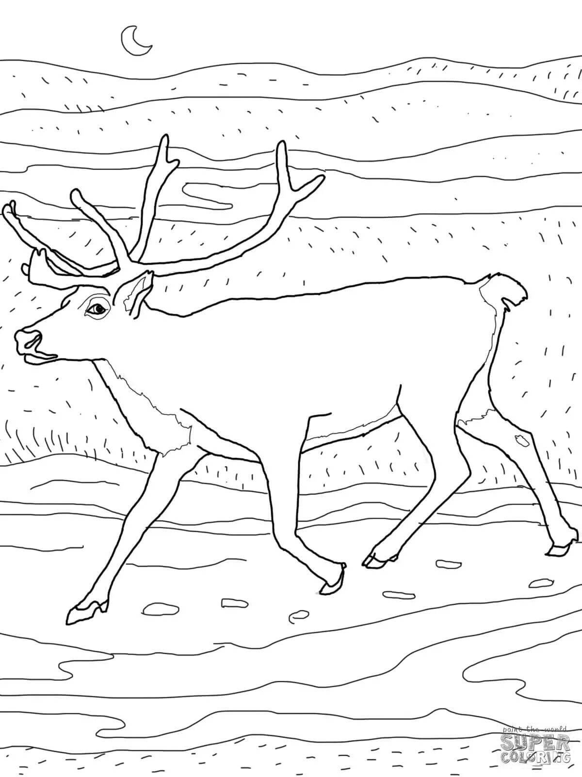 Northern animals funny coloring book for kindergarten