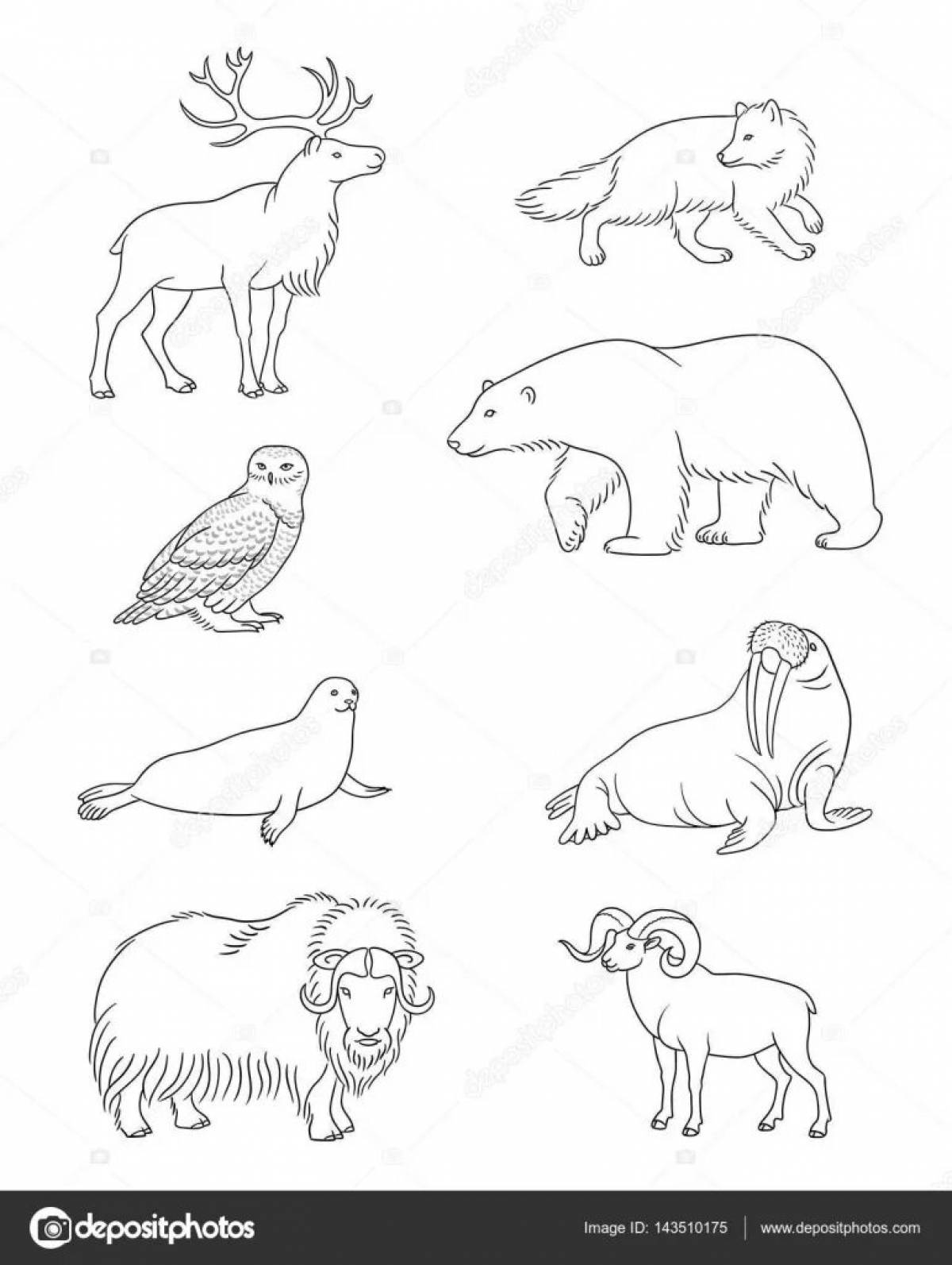 Animated coloring book of northern animals for kindergarten