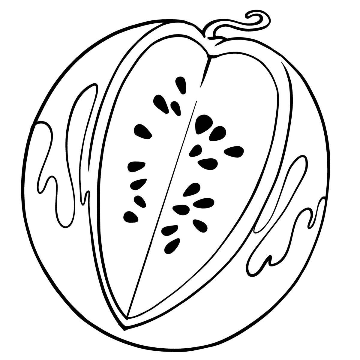 Glorious watermelon coloring pages for kids