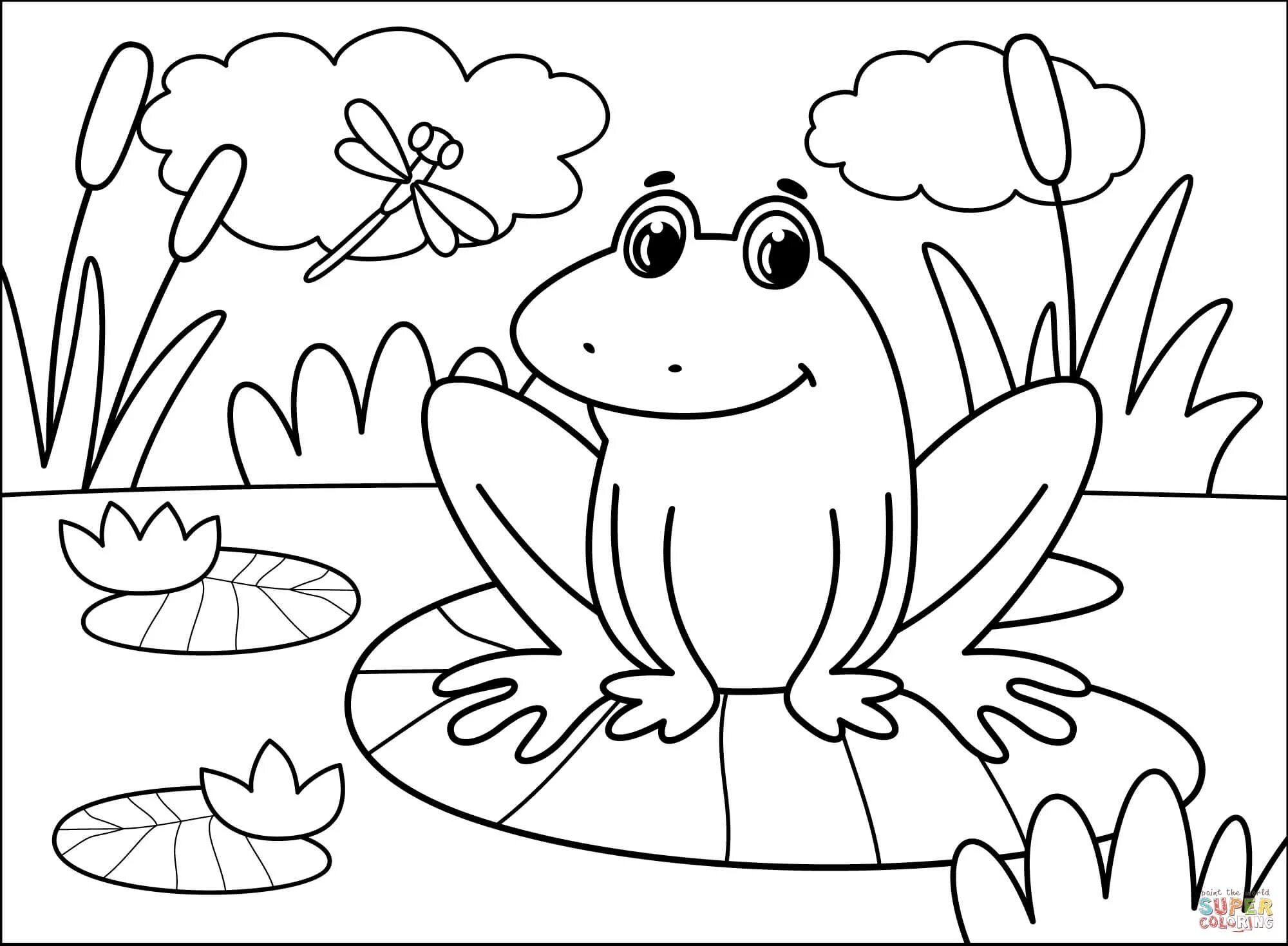 Violent frog coloring for preschoolers