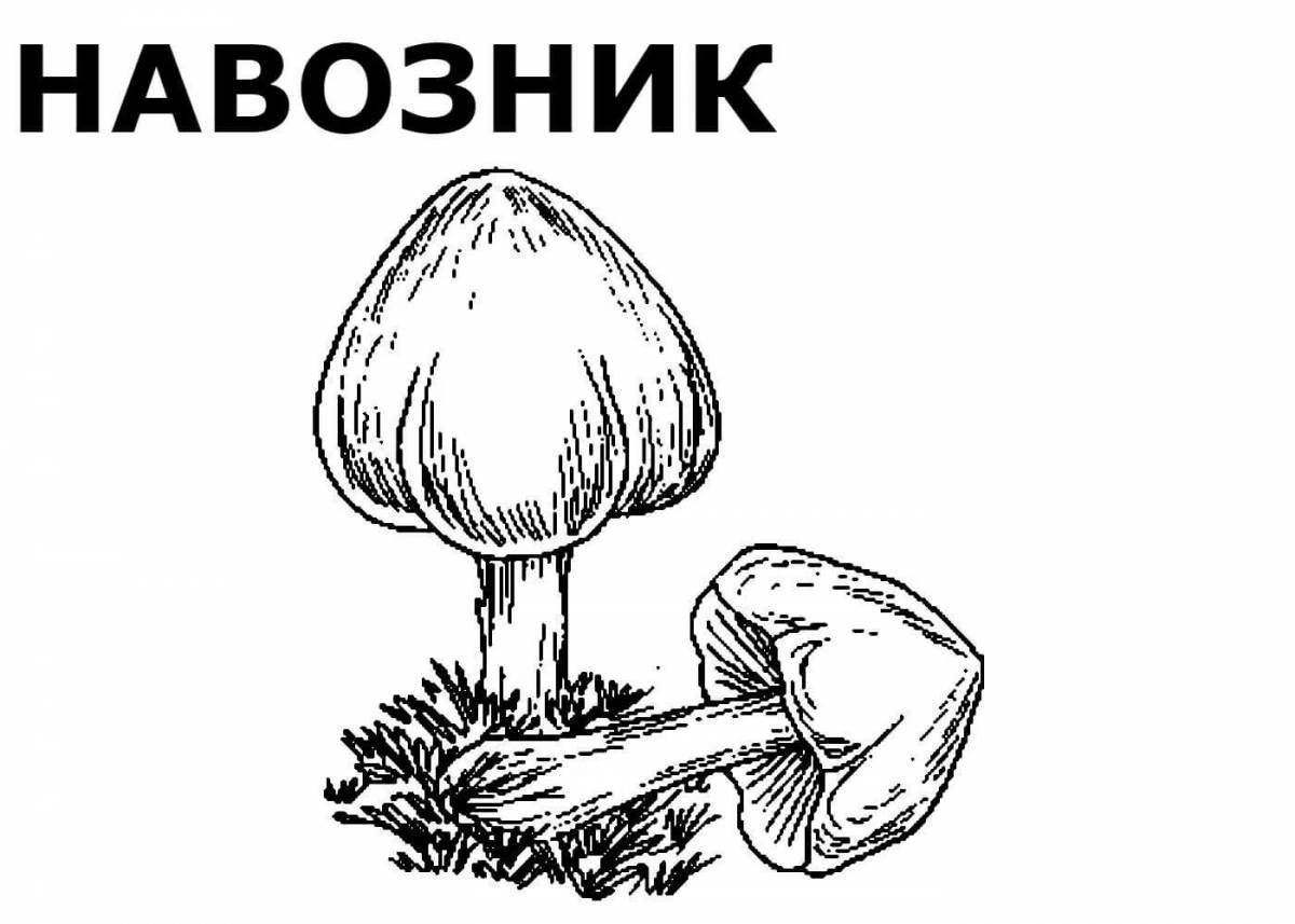 Fun coloring of inedible mushrooms