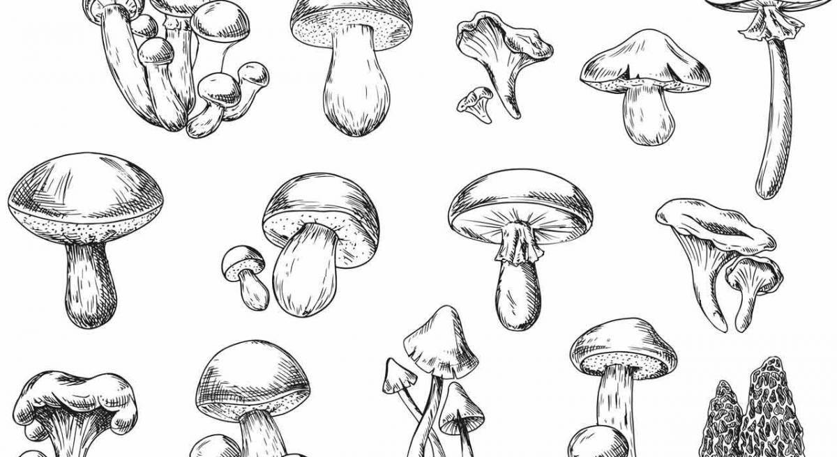 Stimulating non-edible mushrooms for children