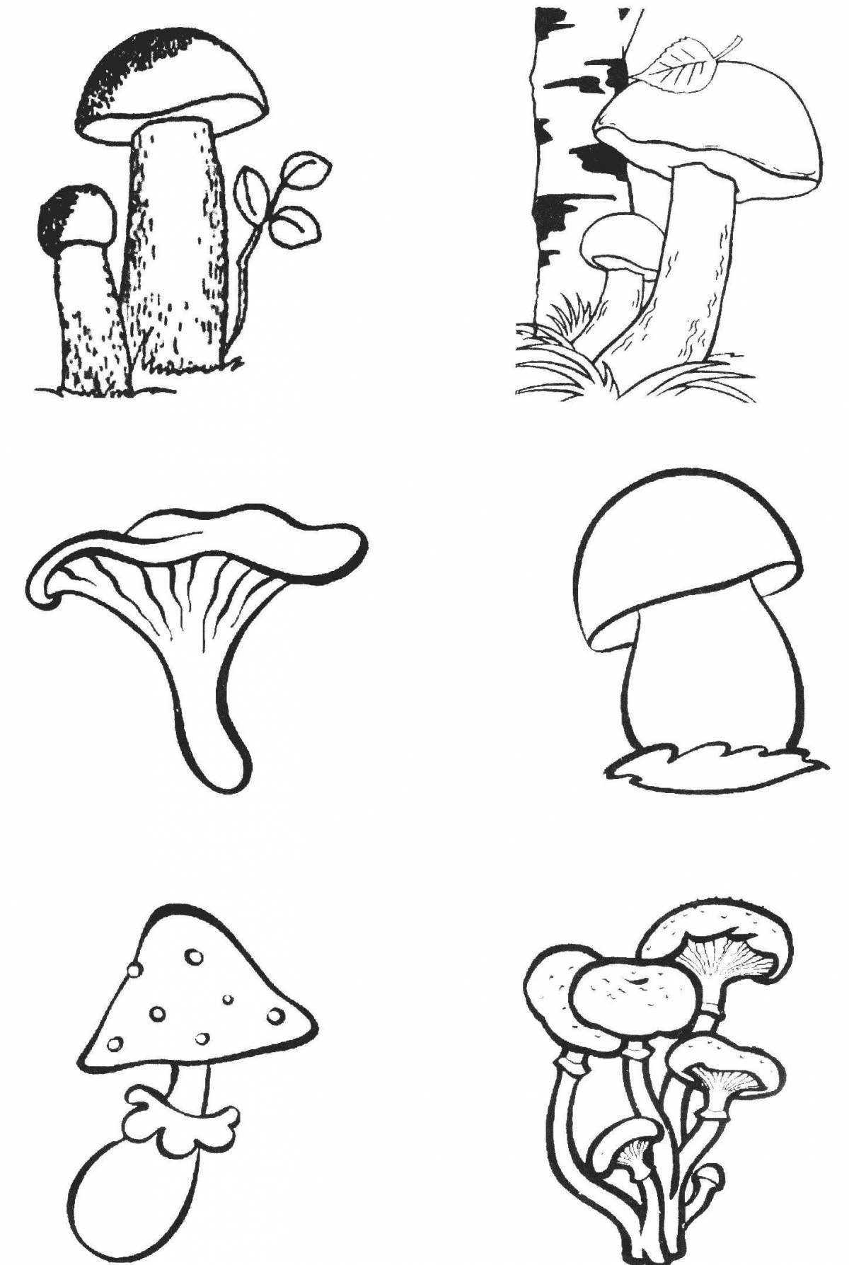 Playful edible mushrooms coloring page