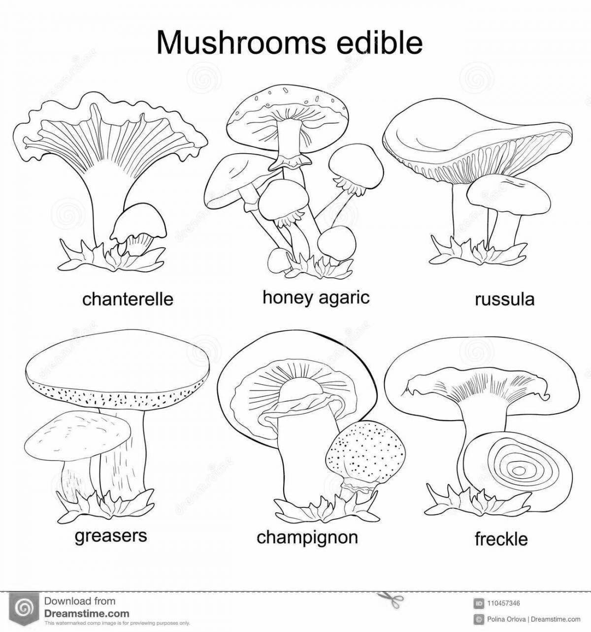 Coloring page adorable edible mushrooms