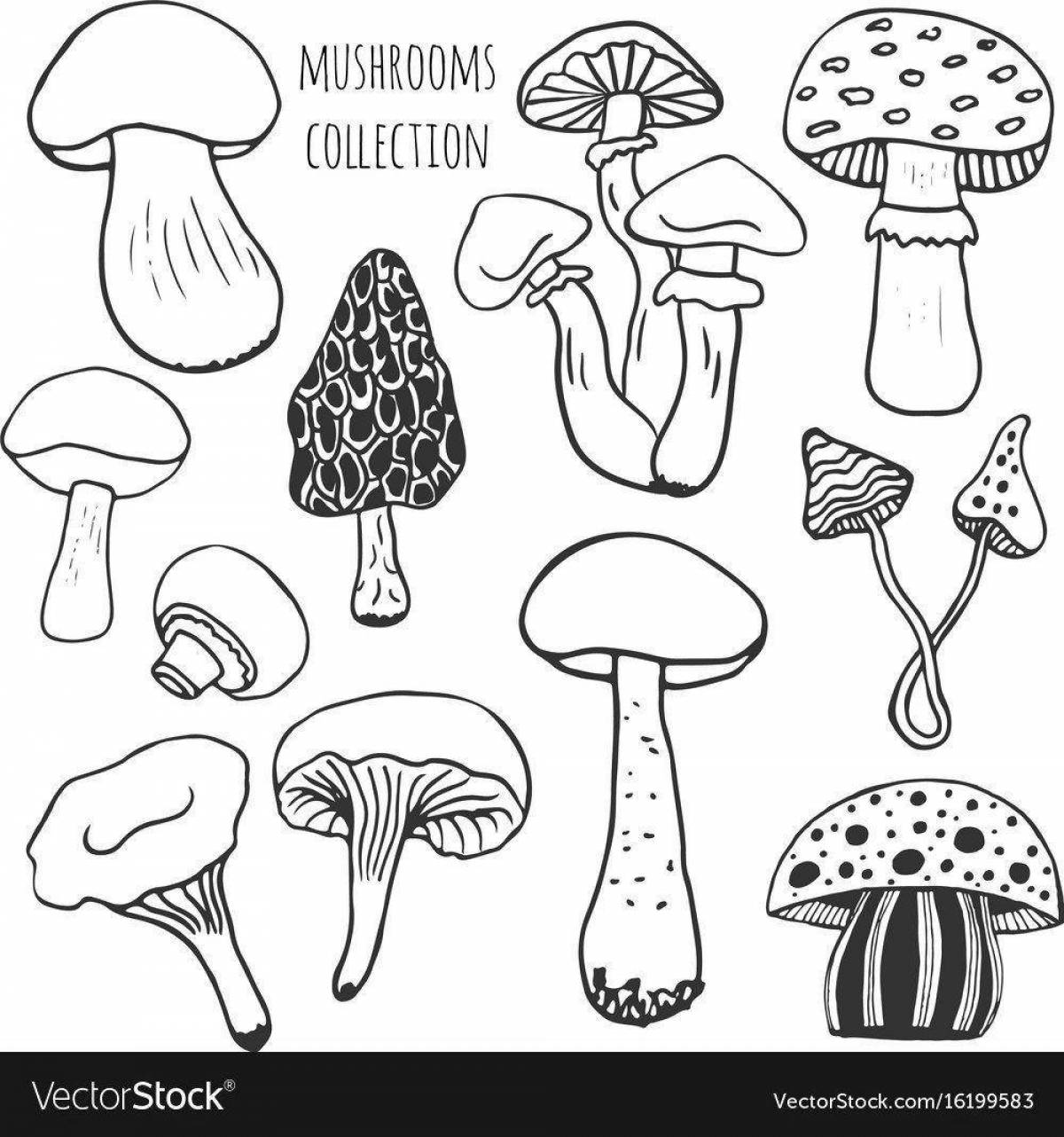 Coloring colorful edible mushrooms