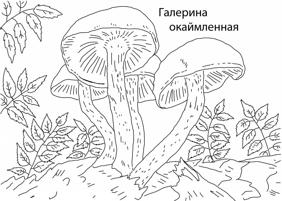 Coloring book joyful edible mushrooms