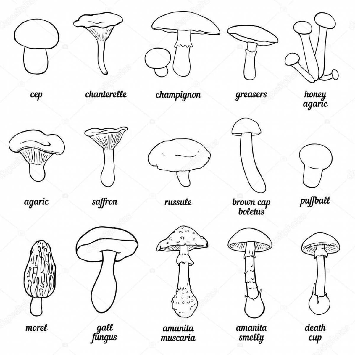 Coloring page hypnotic inedible mushrooms