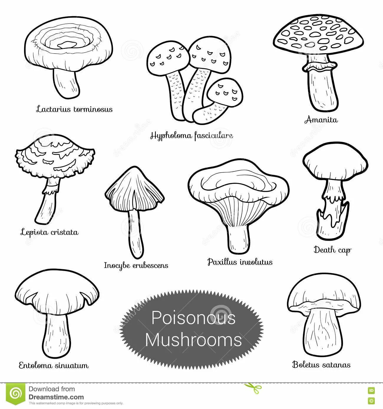 Charm of non-edible mushrooms for children