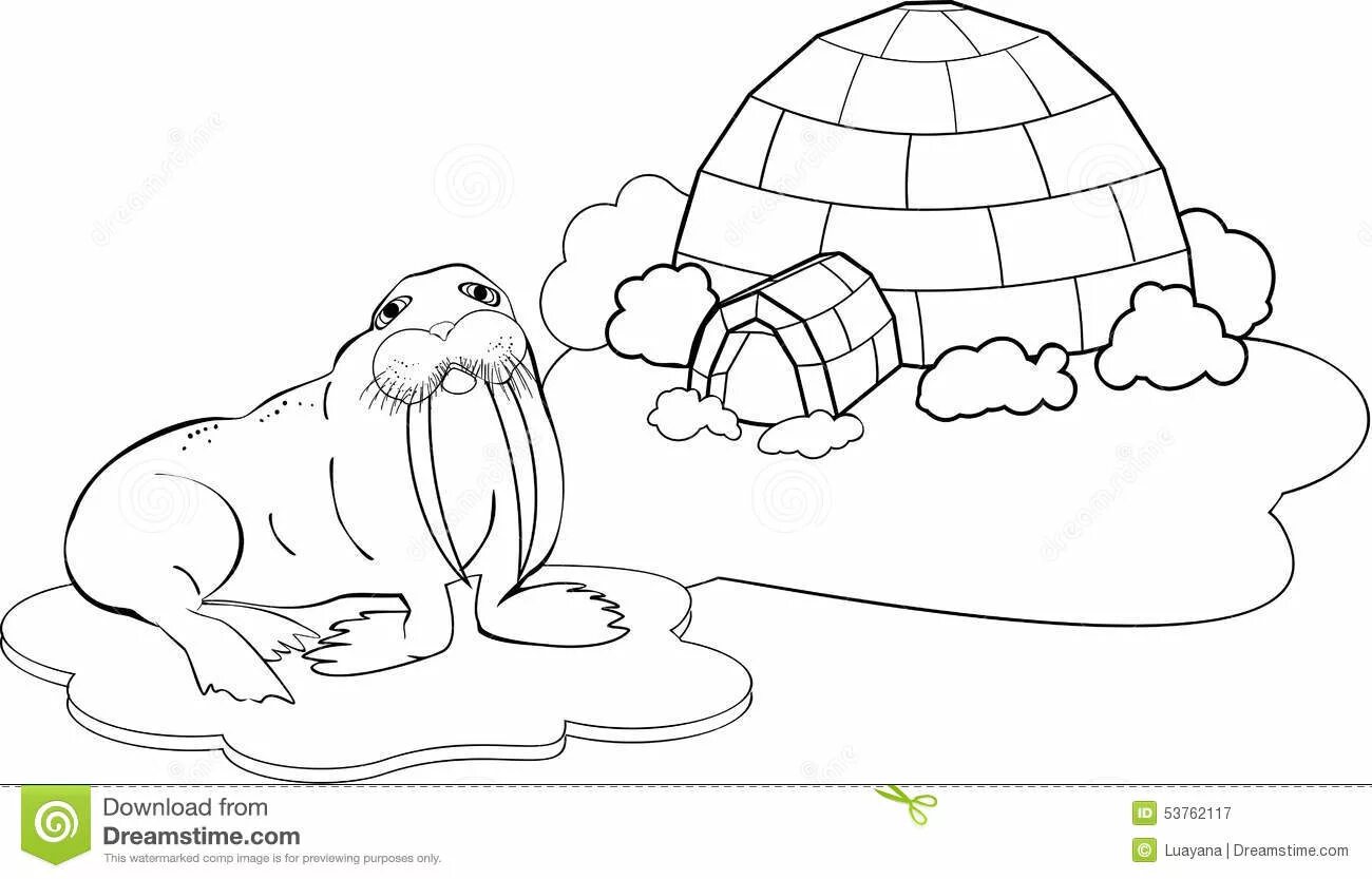 A fun arctic coloring book for kids