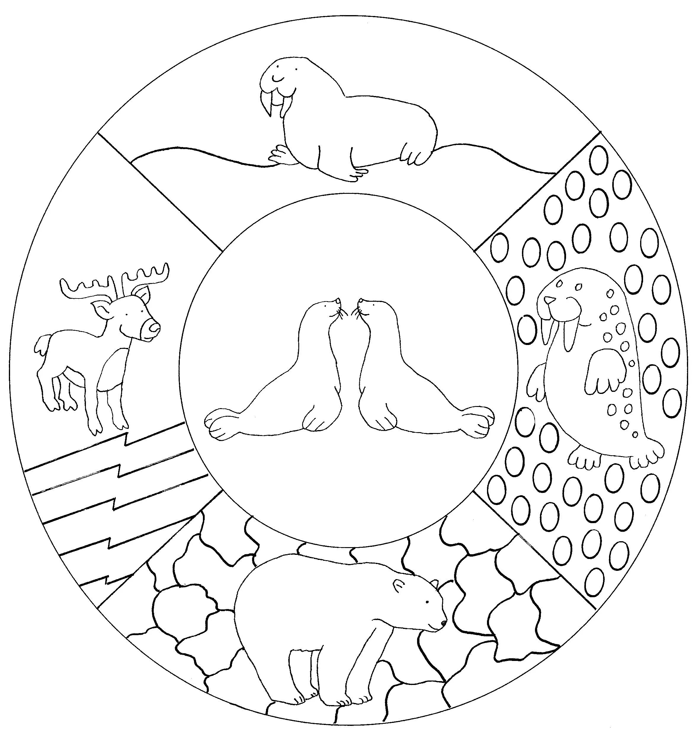 Serene arctic coloring book for kids