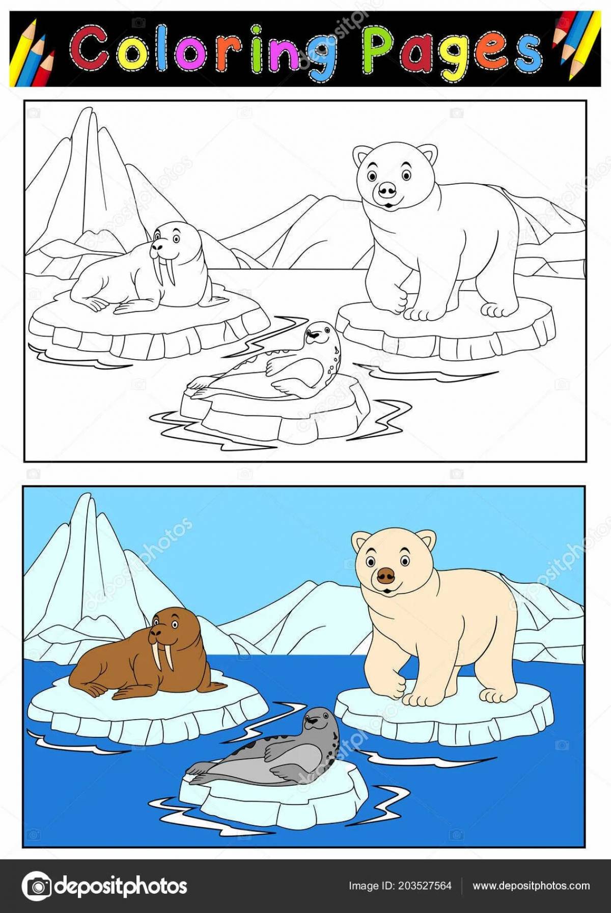 Arctic for kids #2