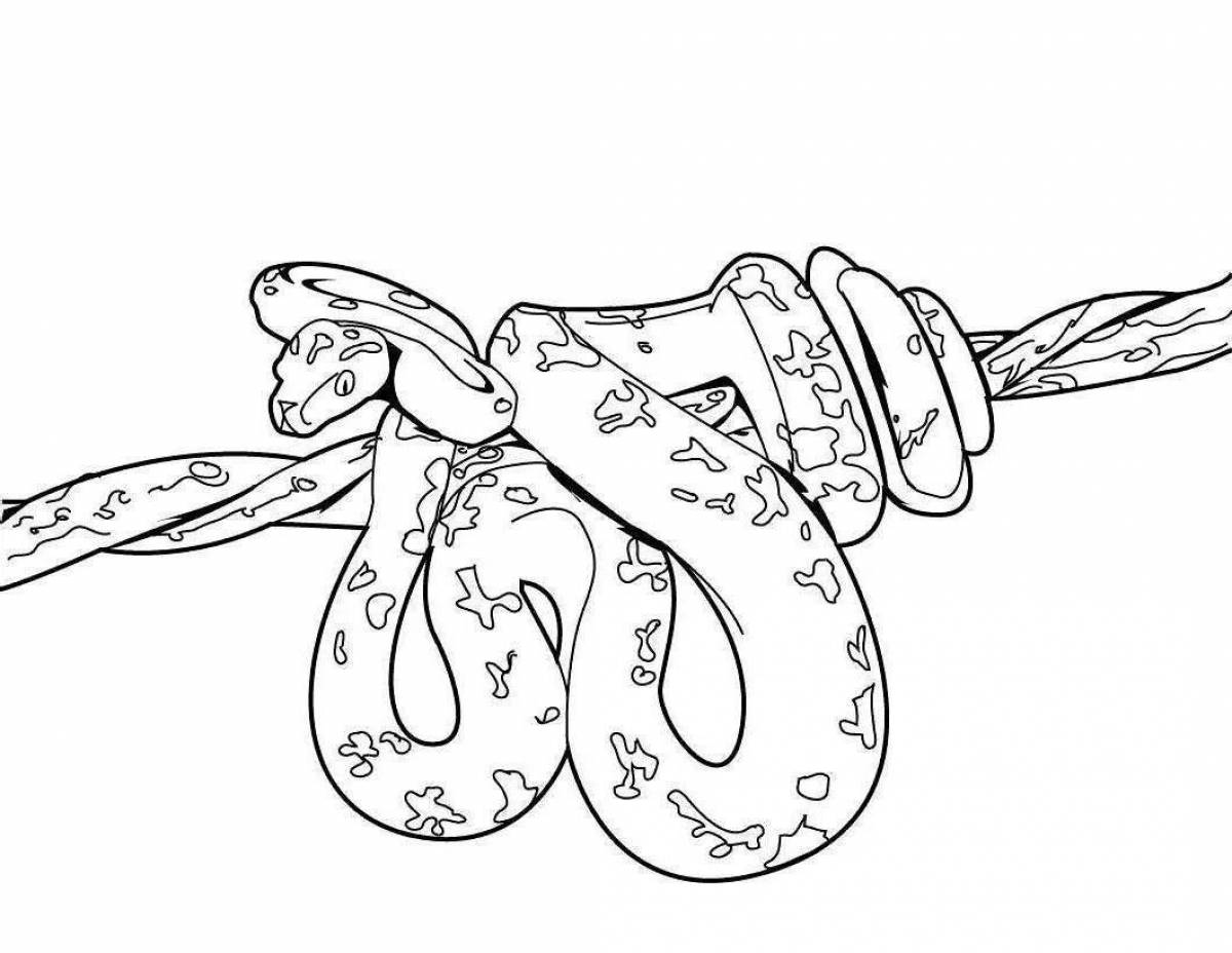 Fun snake coloring for little ones