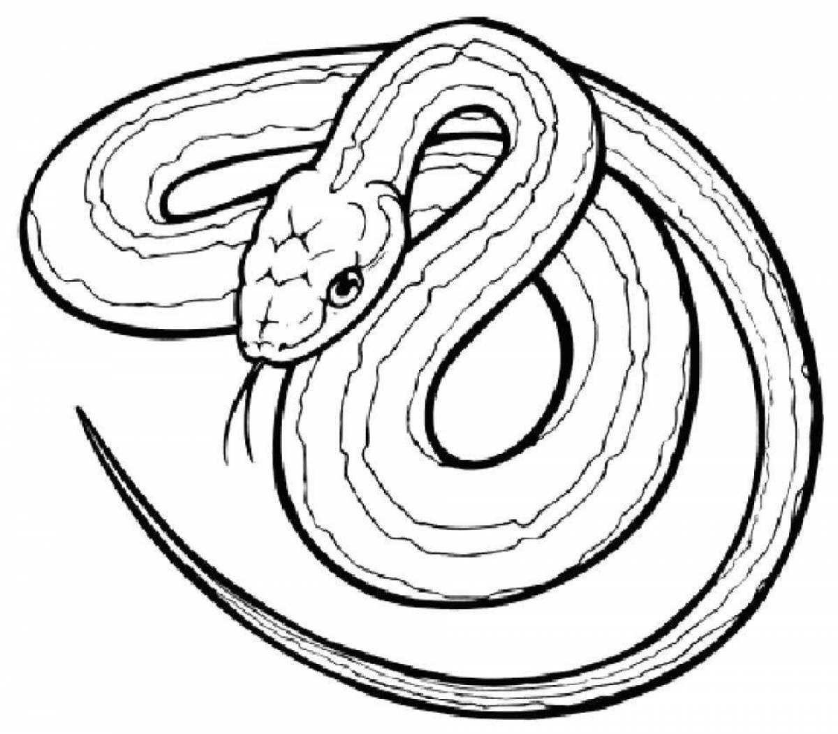 Adorable snake coloring page for toddlers