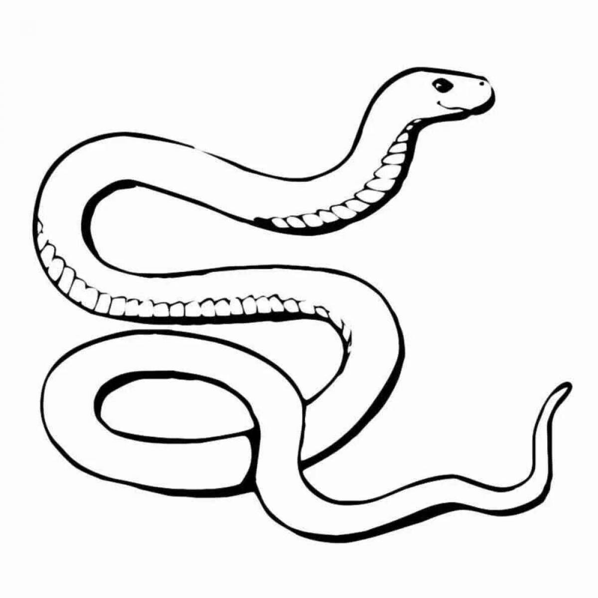 Adorable snake coloring book for kids