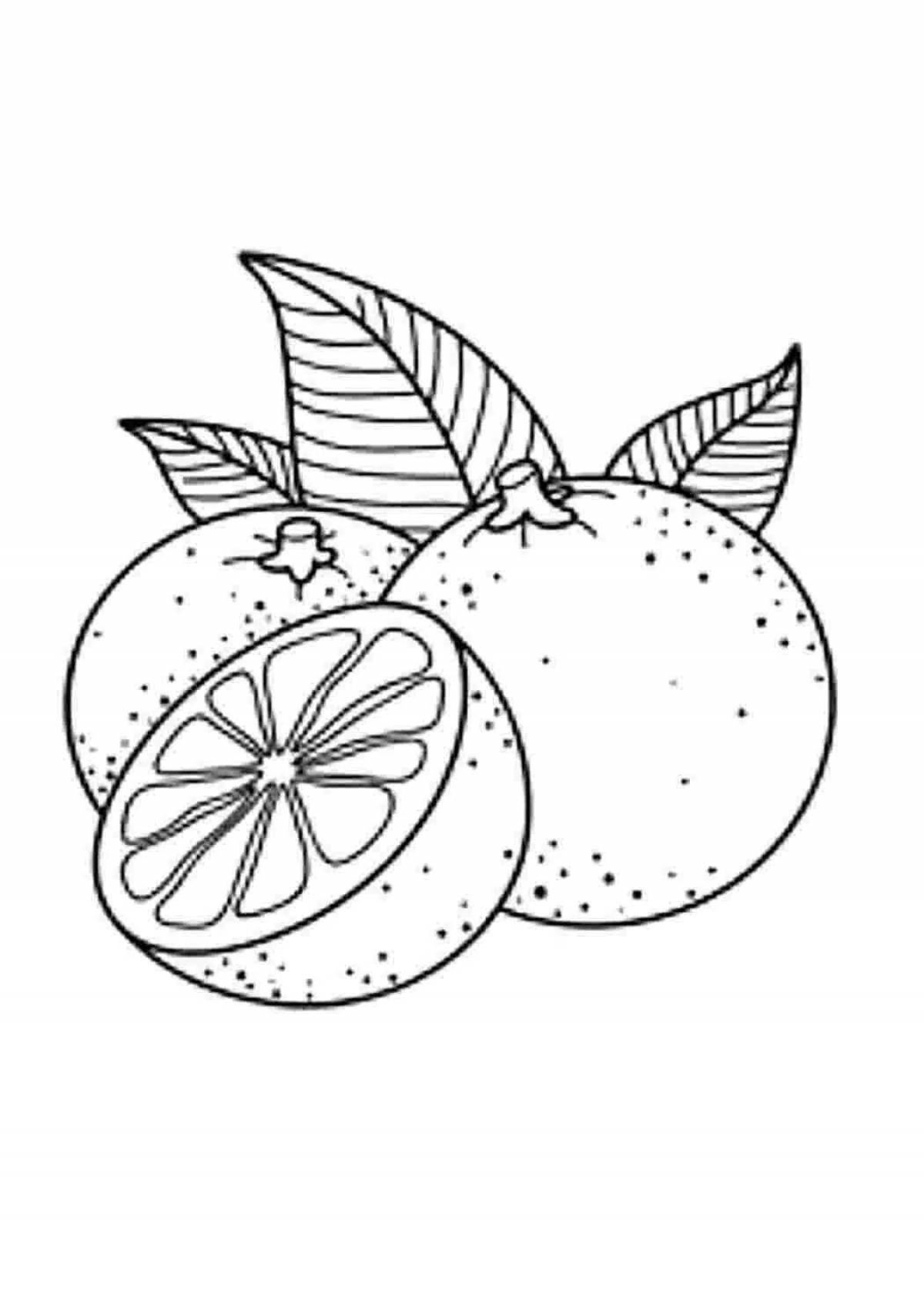 A fun coloring book with tangerines for kids