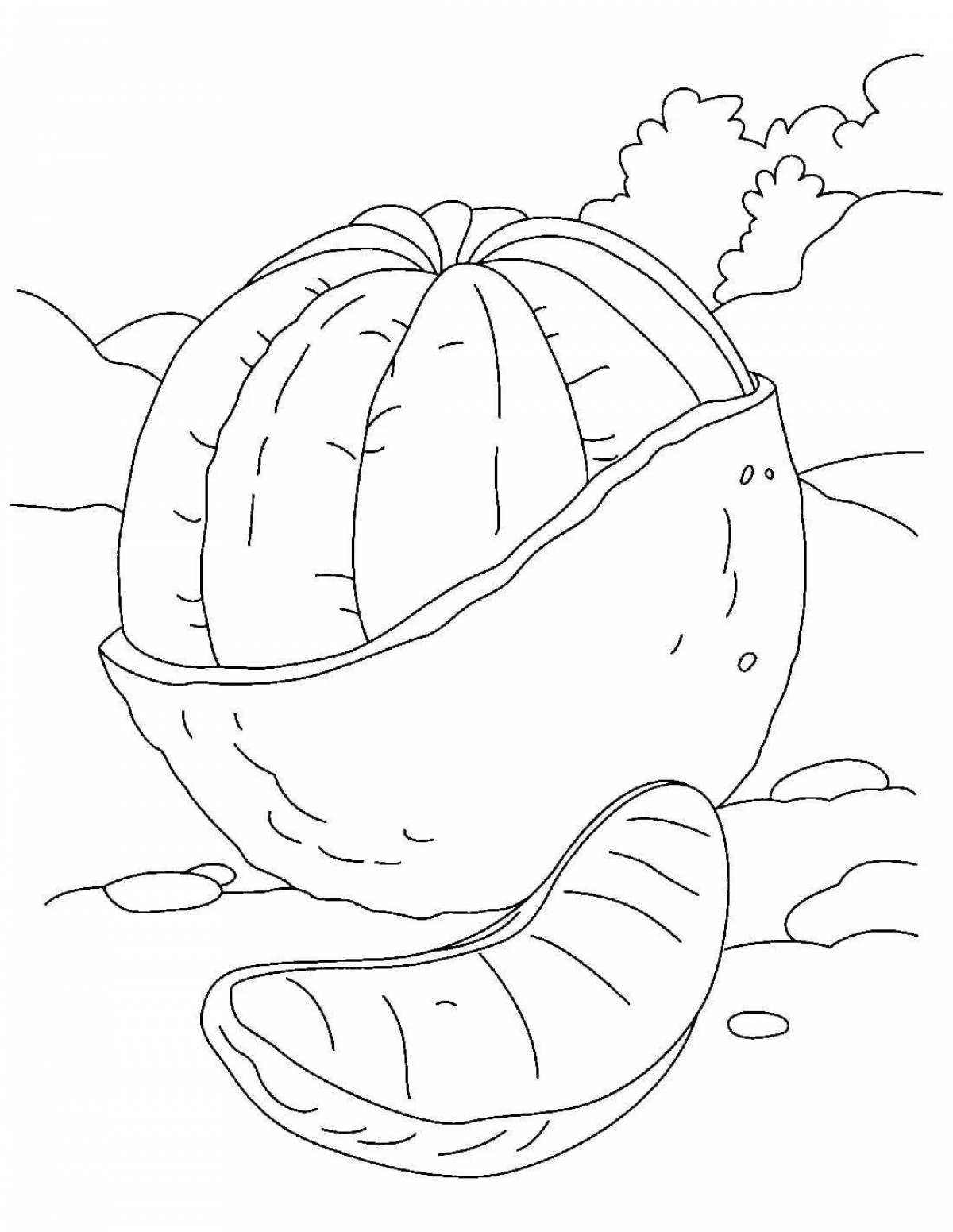 Playful tangerine coloring book for kids