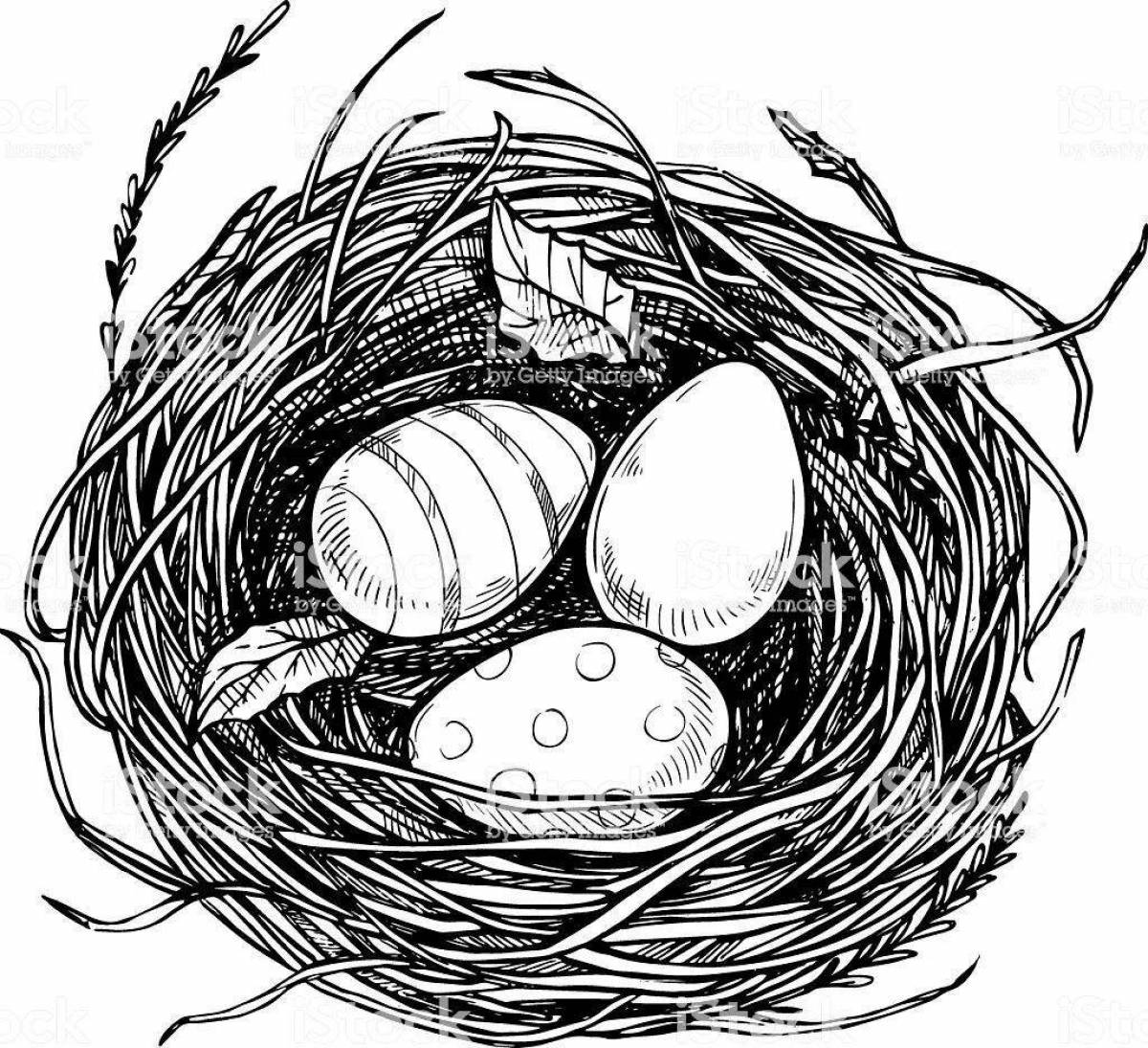 Adorable nest coloring book for kids