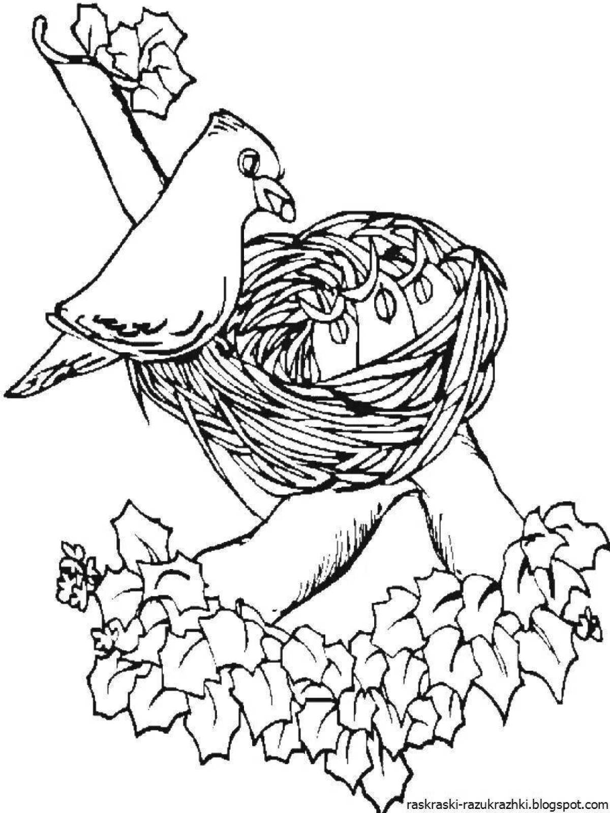 Colorful nest coloring book for babies