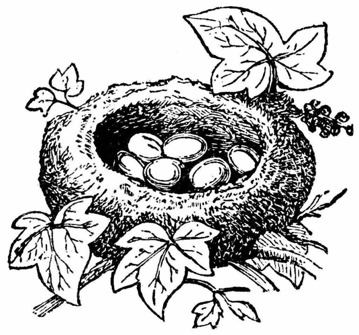 Раскраска очаровательное гнездо для детей
