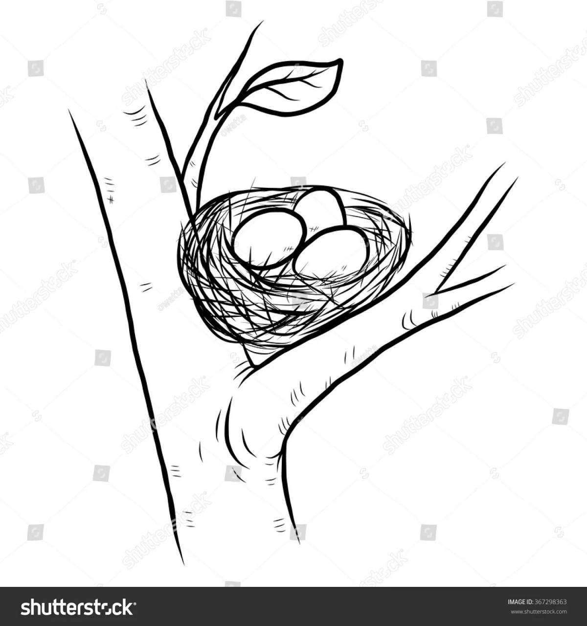 Coloring page of baby nest