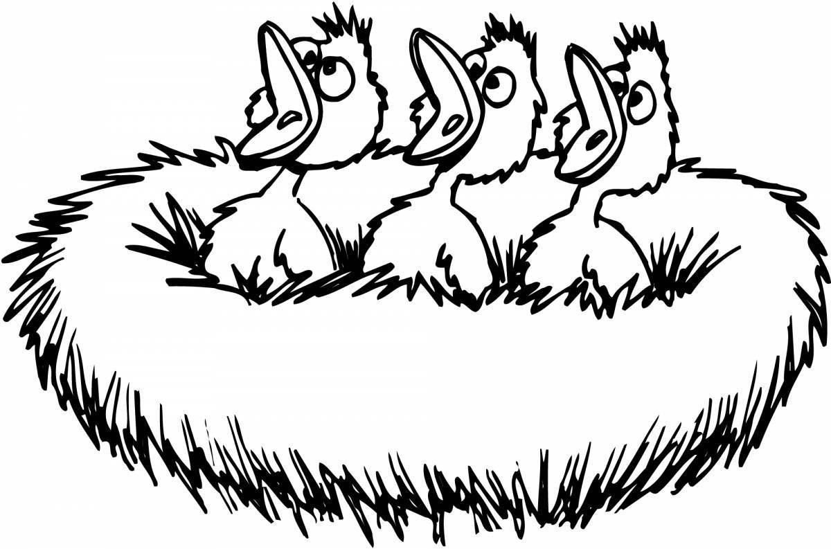 Разноцветная раскраска «гнездышко» для дошкольников