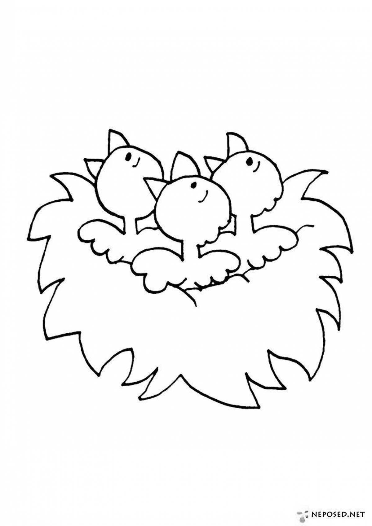 Color-crazy nest coloring page for kids