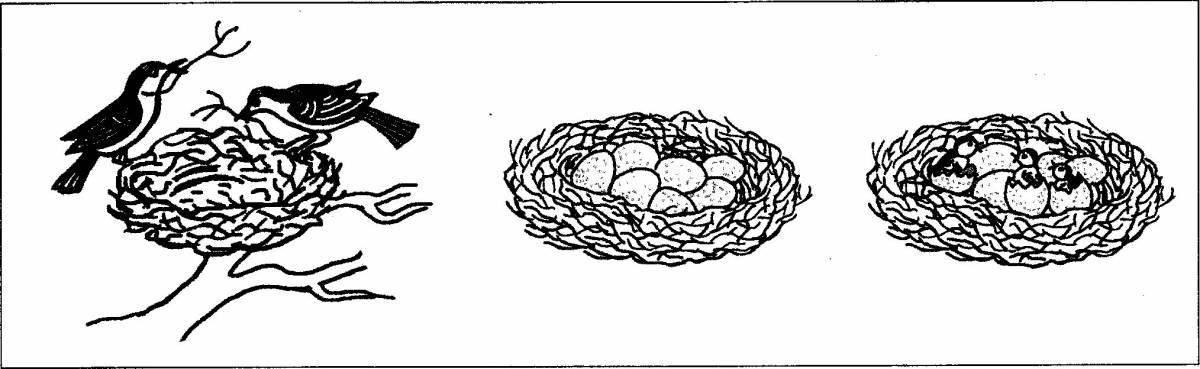 Цветная раскраска «гнездышко» для малышей