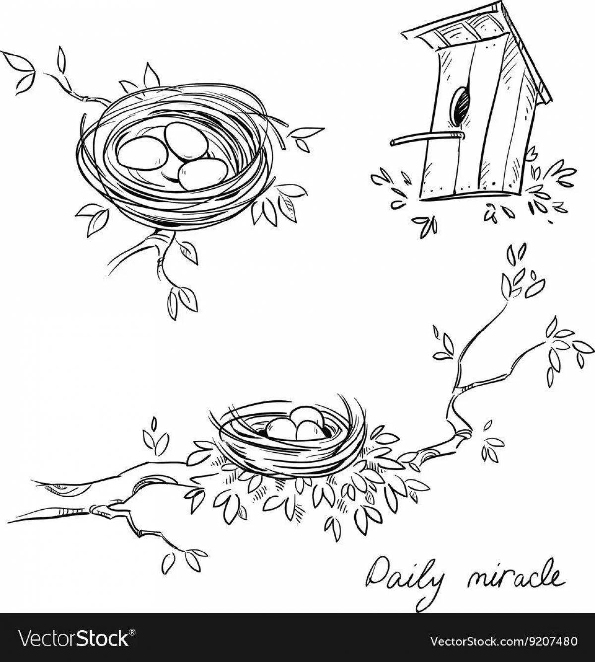 Color-frenzy nest coloring page for juniors