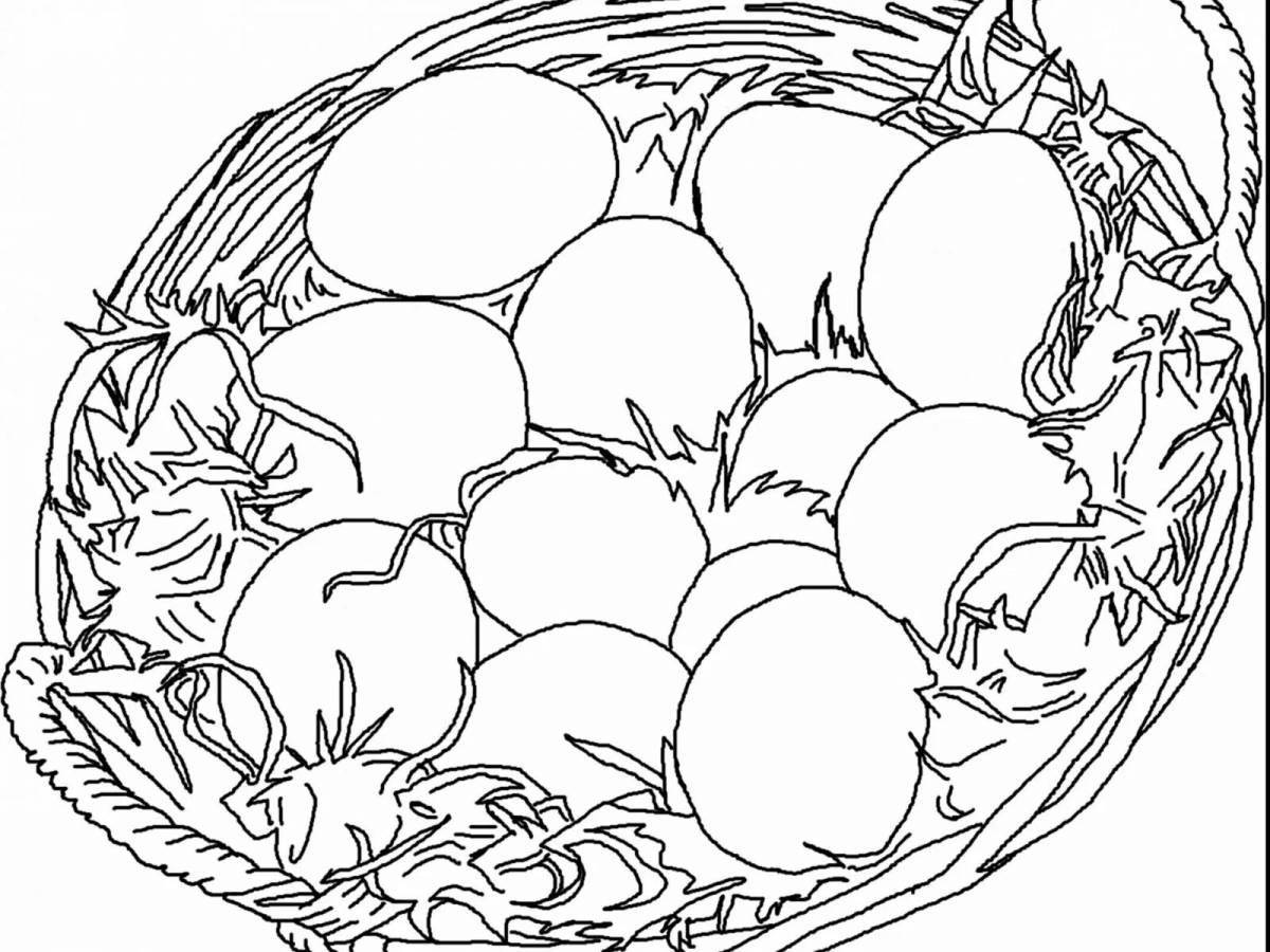 Nest coloring for beginners