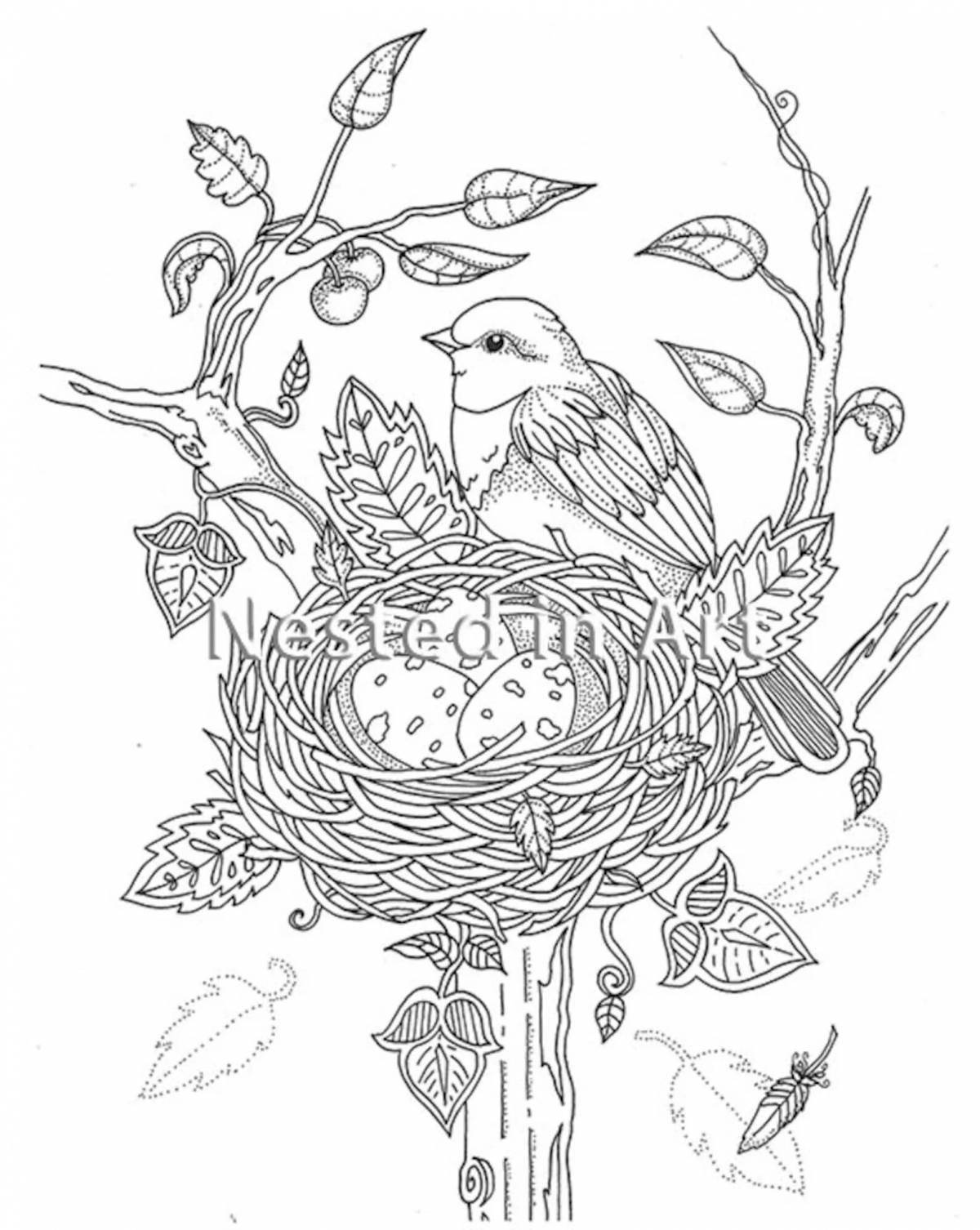 Explosive nest coloring book for little ones