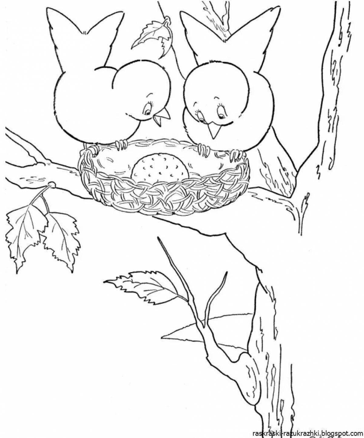 Colored Baby Nest Coloring Page