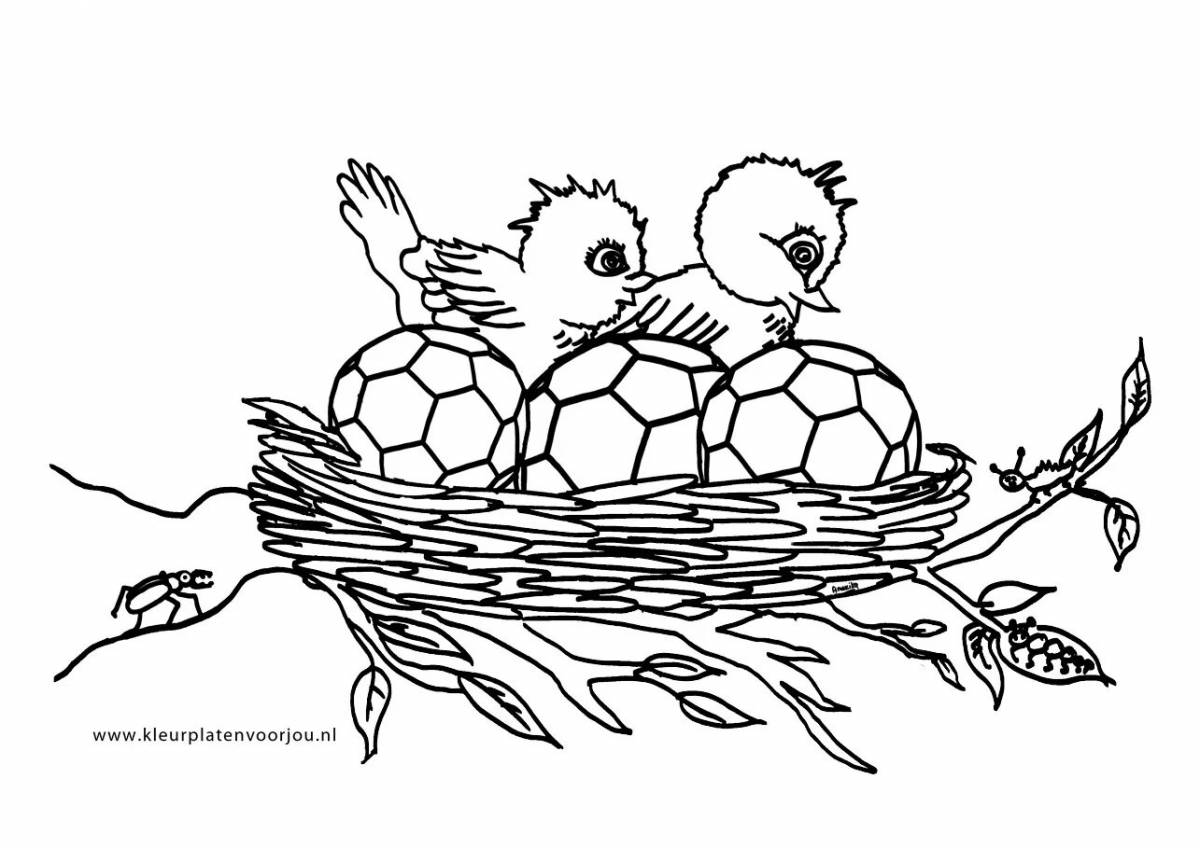 Nest coloring book for babies