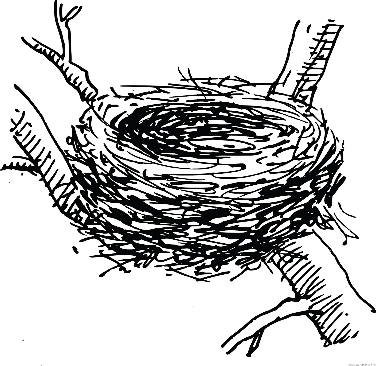 Цветная страница раскраски гнезда для начинающих
