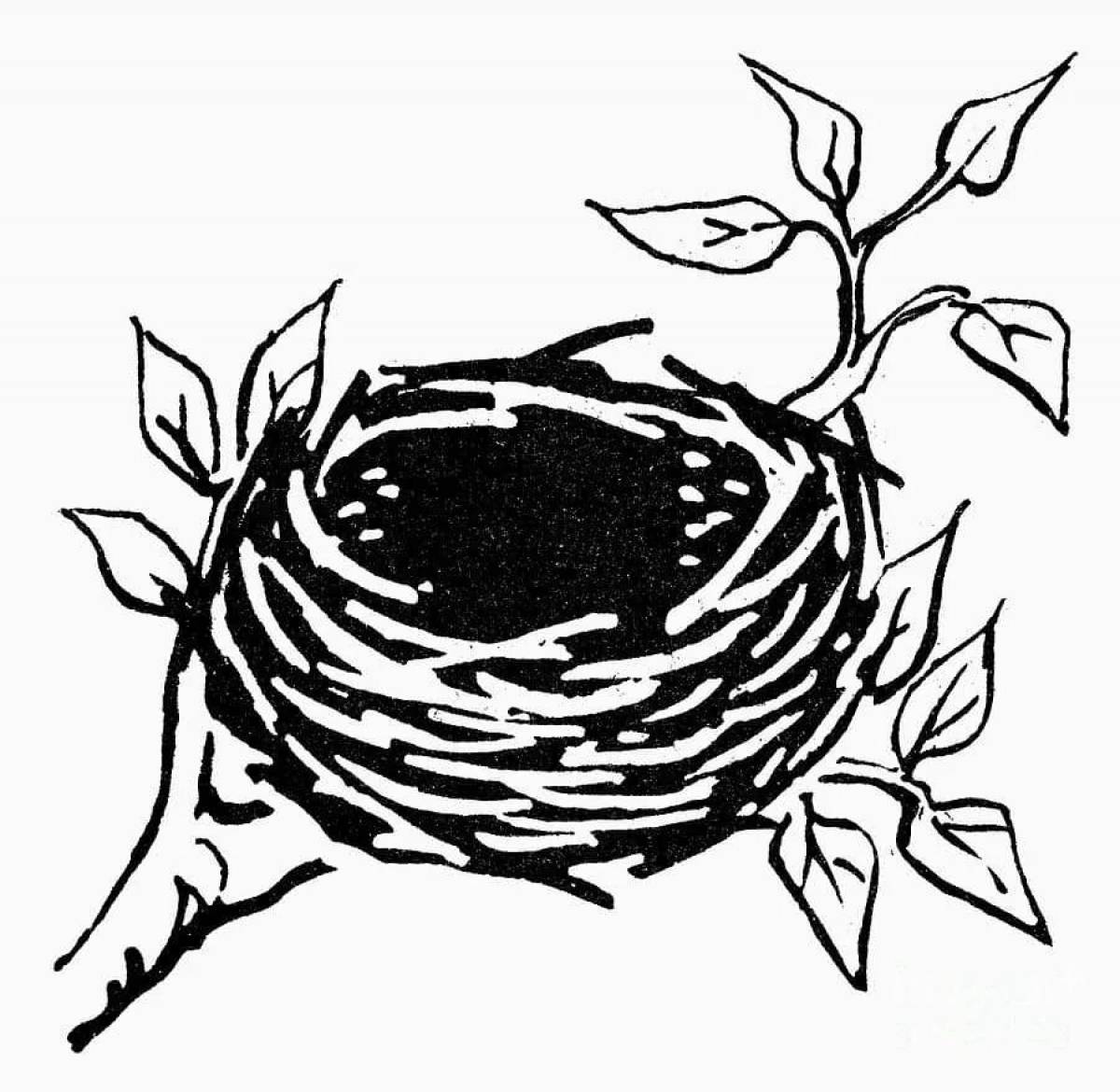 Раскраска Птичье гнездо Часть 2 — Мир раскрасок