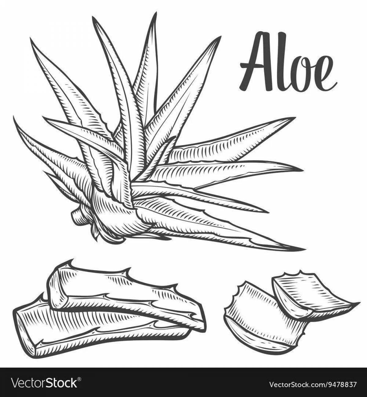 Aloe coloring book for preschoolers
