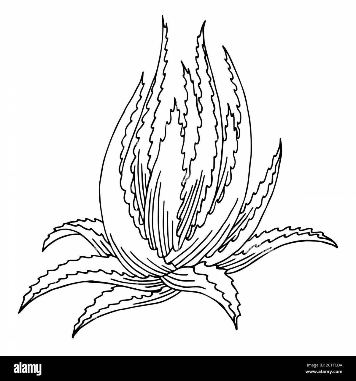 Playful baby aloe coloring page
