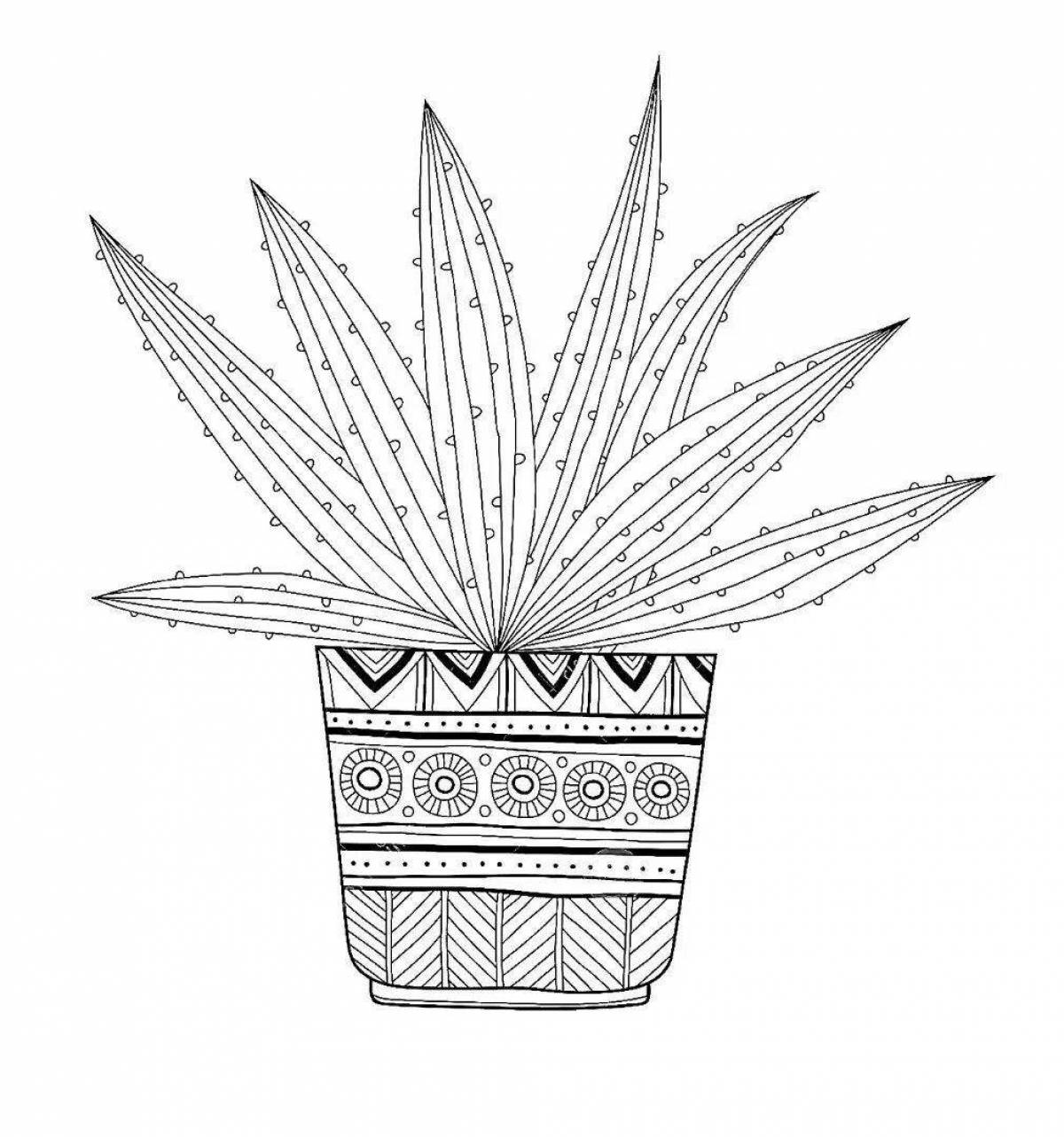 Fabulous aloe coloring book for students