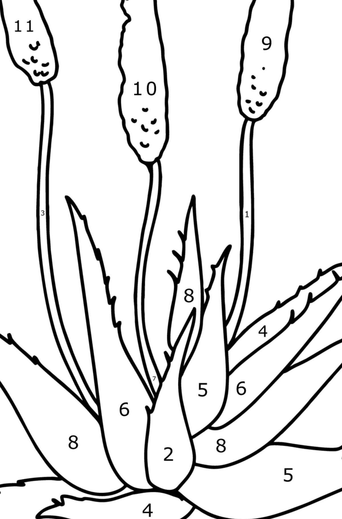 Amazing aloe coloring page for kids